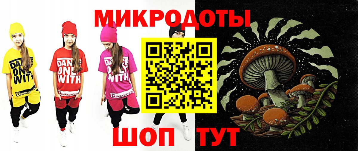 Галлюциногенные грибы прущие грибы Петрозаводск