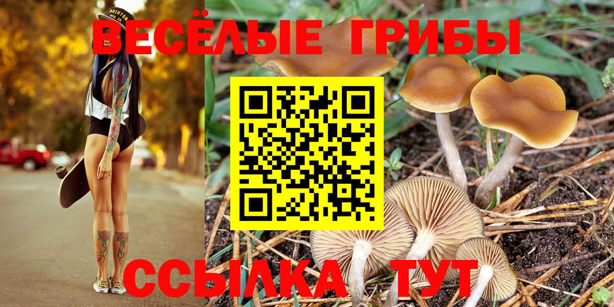 Галлюциногенные грибы Magic Shrooms  Галлюциногенные грибы мицелий  Петрозаводск  Вход с VPN 